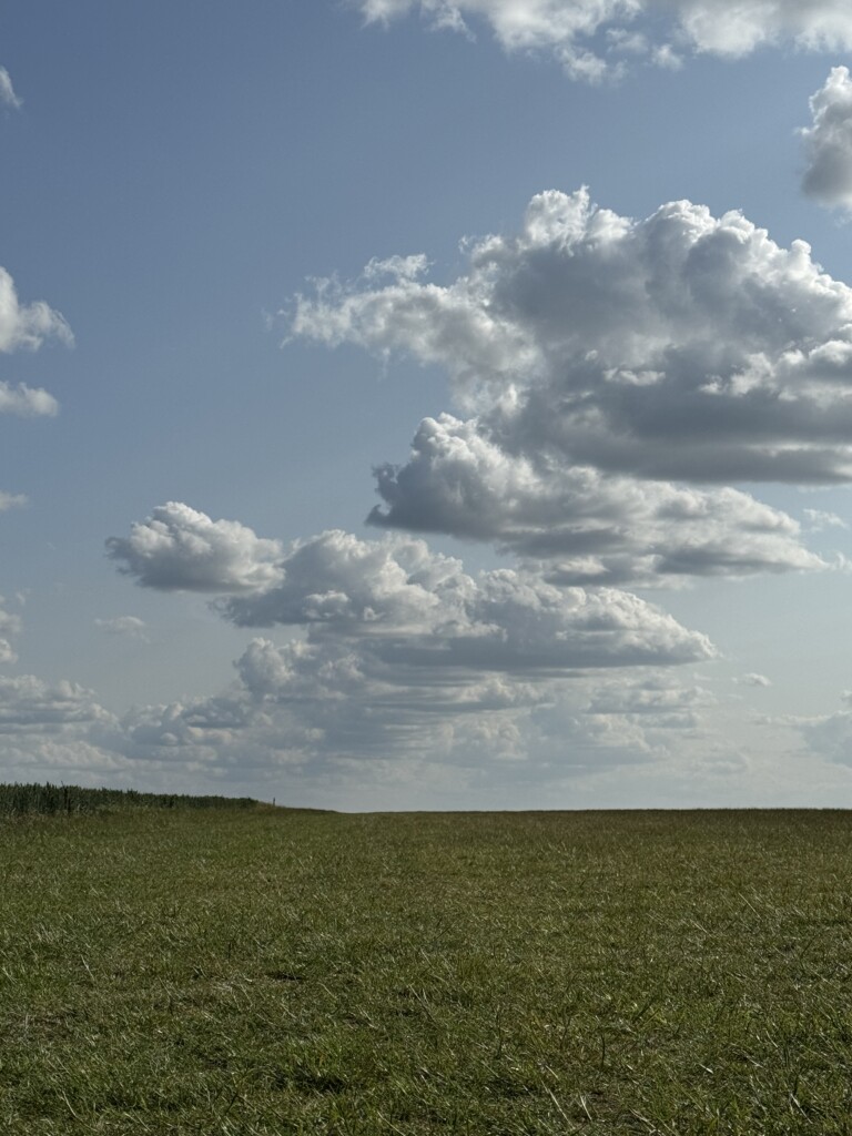 A cloud street above Cambridgeshire