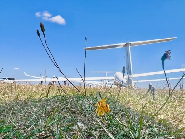 Some photos of our winners throughout the week 🏆plus no land outs for day 7 of the Cloud Rally! 
Lots of fun with social events this week too, including a quiz and art workshop held by @glidingcc where some absolute masterpieces were created 🎨